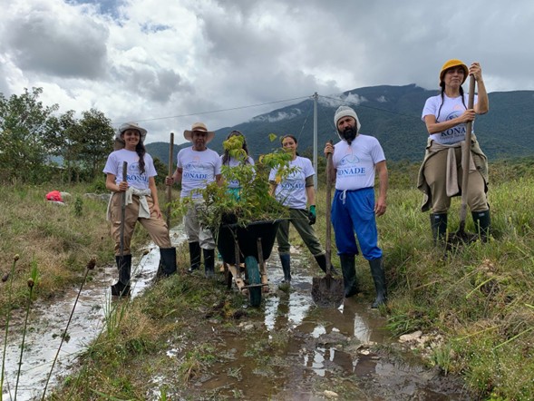 Programa Reforestación
